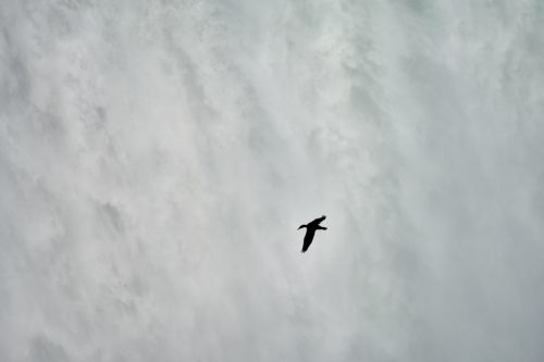 경외함과 위로함으로 성장하는 하루