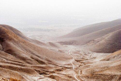 israel desert