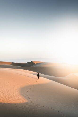 person walking on desert